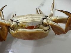 -七的湖·江南蟹舫·阳澄湖农家菜(蟹舫苑店)