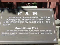 -丰都鬼城名山景区