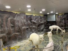 -上海大自然野生昆虫馆(东方明珠·爬宠昆虫探索中心)