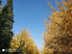 -辽宁大学(崇山校区)