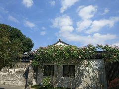 -鹅湖玫瑰文化园