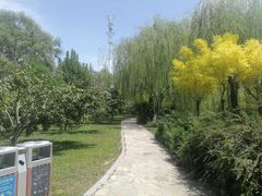 -南翠屏公园