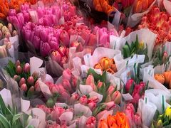 -循礼门鲜花花市(武汉循礼门店)