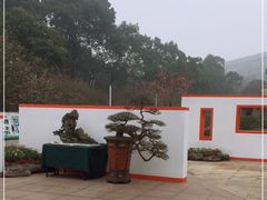 -南山植物园