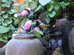 -园林美食城·本土农家菜(杨和镇店)