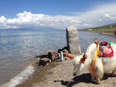 -青海湖国家重点风景名胜区