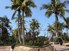 -白沙门生态公园