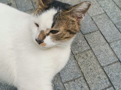 -Wagas沃歌斯(尚街店)