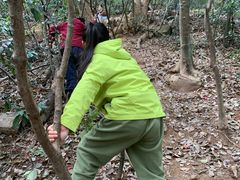 -杭州半山国家森林公园