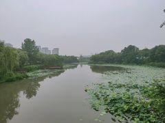 -新江湾城公园