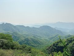 -大岭沟猕猴桃谷风景区
