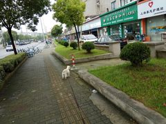 -畜牧兽医站(共江路店)