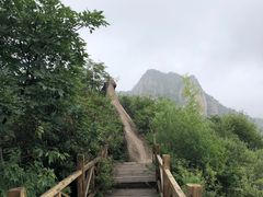 -大岭沟猕猴桃谷风景区