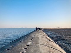 -东疆建设开发纪念公园
