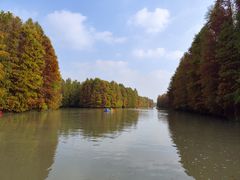 -上海海湾国家森林公园