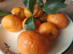 -金三可市井水煮鱼(金碧园店)