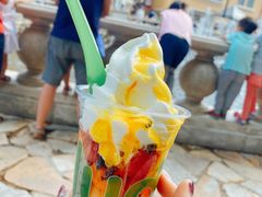 -Salud撒露欧洲冻酸奶(蓝色港湾店)