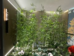-椒馋小馆(绿源路店)