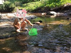 -重庆彩云湖湿地公园