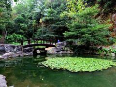 -广州市白云山风景名胜区