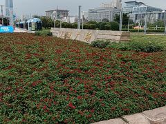 -泉城广场