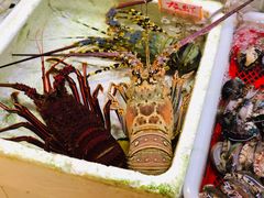 -海儀美食楼(湾仔海鲜街店)
