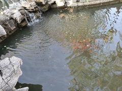 -济南大明湖景区