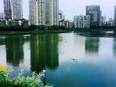 -西北湖绿化广场