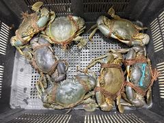 -無招牌海鮮(芽笼店)