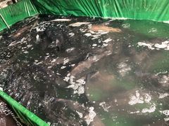 -无锡天鹏食品城