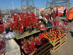 -中环花鸟鱼虫市场