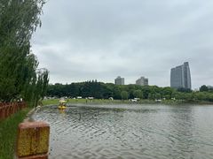 -黄兴公园