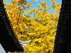-西园戒幢律寺