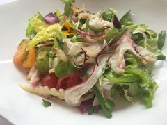 春季沙拉-蝶舍·MAISON PAPILLON