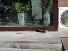 -喝丢一只鞋海鲜烧烤·海肠捞饭(文体街店)