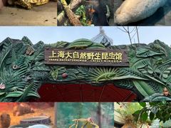 -上海大自然野生昆虫馆(东方明珠·爬宠昆虫探索中心)