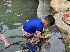 -夏津德百度假村温泉