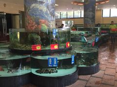 水产区-东豪园林海鲜酒家(南港路辅路店)