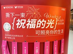 -VT101维多利广场