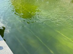 -DGE季风钓虾营地·团建·聚会