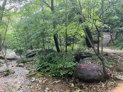 -玉渡山自然风景区