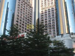 -金光华广场