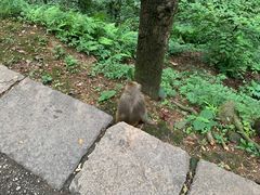 -黔灵山公园