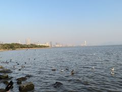 -深圳湾公园(南山区)
