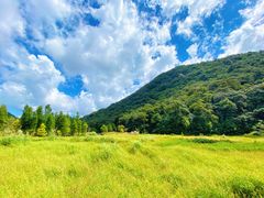 -广州市石门国家森林公园