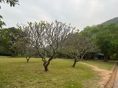 -南沙蒲洲花园