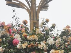 -长沙火车站(地铁站)