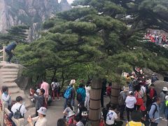 -黄山玉屏楼宾馆餐厅