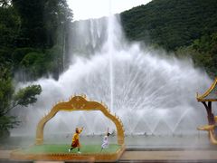 -西双版纳原始森林公园