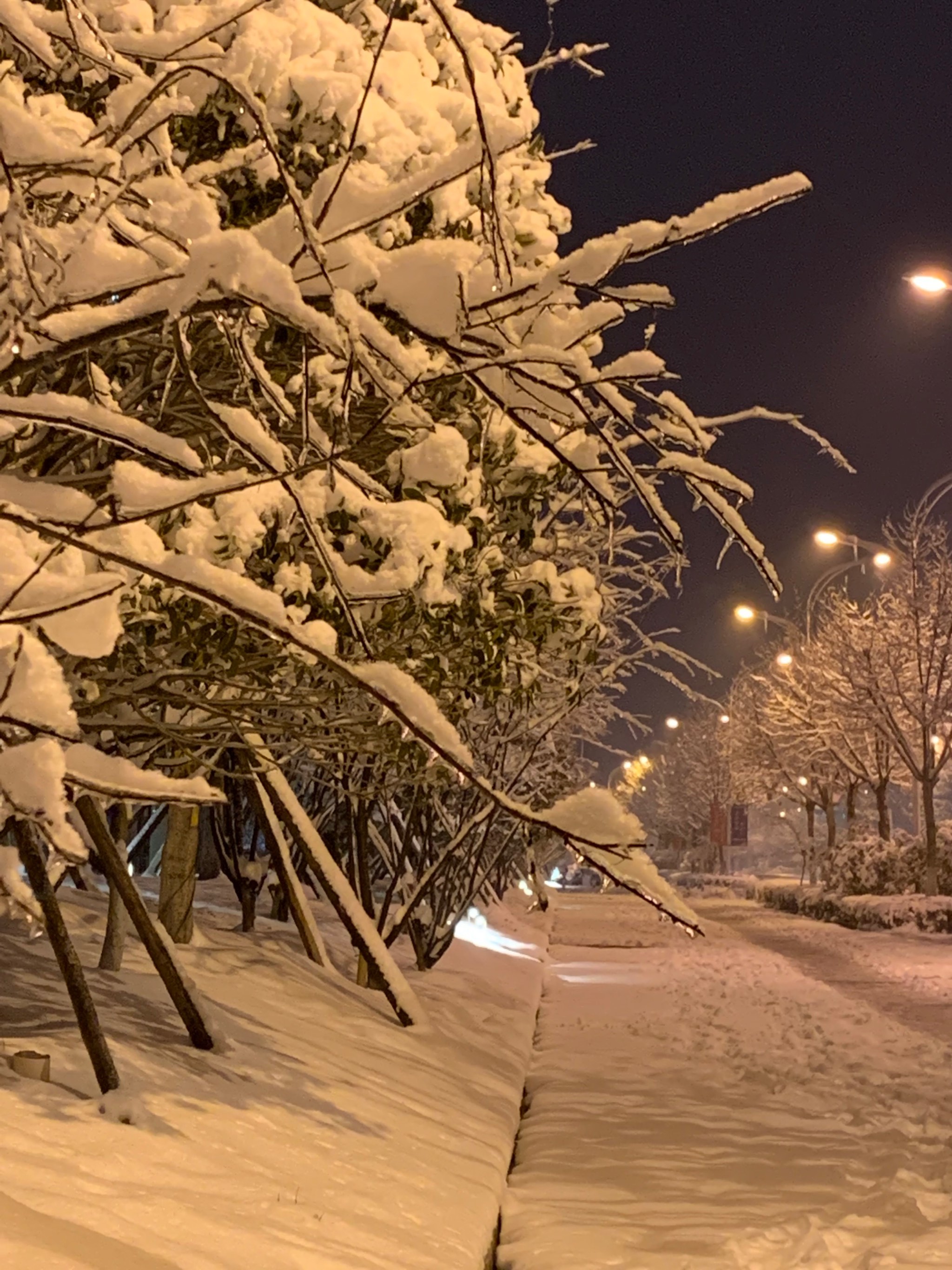 长沙下雪夜景图片